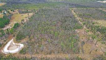 Farm Property for Sale - Lot 91  Orchid Drive Millmerran Downs QLD 4357