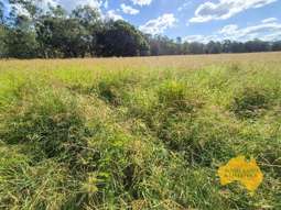 . Kalliwa Road Mingo QLD 4625