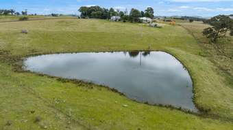 Farm Property for Sale - 135 Bundaleer Road Newbridge NSW 2795