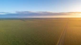 Farm Property for Sale - Charlie&am 2233 Fourteen Mile Road Mallee Hill WA 6353