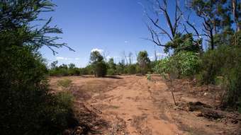 Farm Property for Sale - 73 Basil Drive Forest Ridge QLD 4357