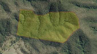 Farm Property for Sale - Lot 512  Kilprotay Road Bellbrook NSW 2440