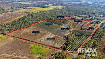 Farm Property for Sale - 446 Chewko Road Mareeba QLD 4880