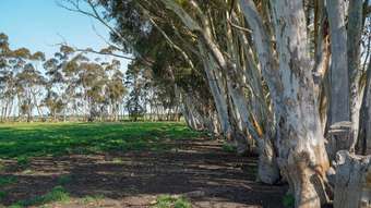 Farm Property for Sale - 3078 Victoria Point Road Strathkellar VIC 3301