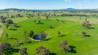 Farm Property for Sale - 382 Snake Creek Road Garland NSW 2797