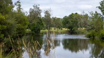 Farm Property for Sale - 300 Martells Road Bellingen NSW 2454