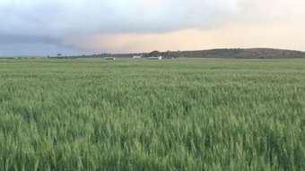 Farm Property for Sale - Langvale 2659 Merivale Road Esperance WA 6450