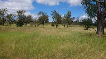 Farm Property for Sale - Lot 59 Herrons Road Iredale QLD 4344
