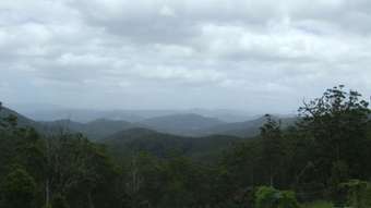 Farm Property for Sale - Ellenborough NSW 2446