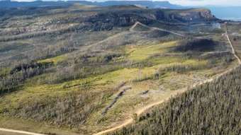 Farm Property for Sale - 421 Rose Valley Road Wog Wog NSW 2622