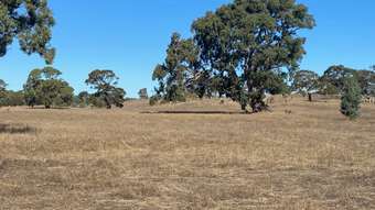 Farm Property for Sale - 56 Strachans Road Springton SA 5235