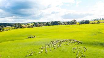 Farm Property for Sale - 149 Kellys Road Grenville VIC 3352