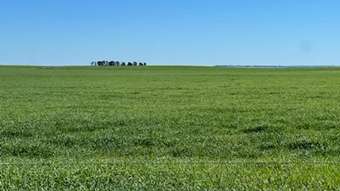 Farm Property for Sale - Section 3 Heinzel Road Parrakie SA 5301