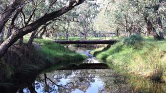 Farm Property for Sale - 549 Telephone Road Wanerie WA 6503