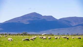 Farm Property for Sale - 53 RW McIntyres Road Karabeal VIC 3294