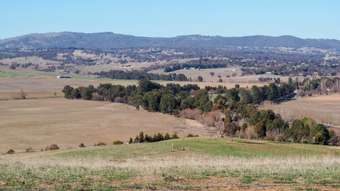 Farm Property for Sale - 80 Blacks Mill Lane O'connell NSW 2795