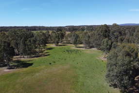 Farm Property for Sale -  Rocky Ridge Road Carapooee VIC 3477