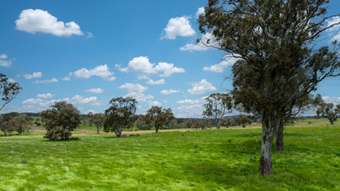 Farm Property for Sale - 1366 Amaroo Road Orange NSW 2800