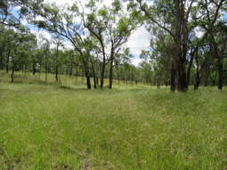 450 Lawsons Broad Road, Coverty Wondai QLD 4606