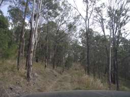  Stegemann Road Upper Glastonbury QLD 4570