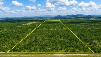 1197 Webb Road Reid River QLD 4816