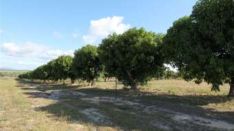 Farm Property for Sale - Mount Kelly QLD 4807