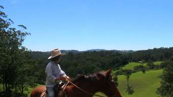 Farm Property for Sale - 245 Deer Vale Road Dorrigo NSW 2453