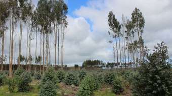 Farm Property for Sale - 44A Gray Street Hamilton VIC 3300