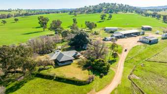 Farm Property for Sale -  DUNOON – Holbrook  Culcairn NSW 2660
