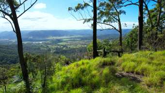 Farm Property for Sale - Lot 157 Bellthorpe Road Conondale QLD 4552