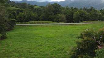 Farm Property for Sale - 992 Silkwood Japoon Rd Japoonvale QLD 4856