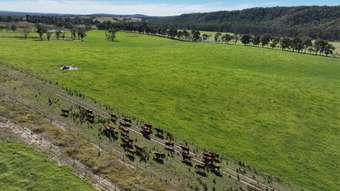 Farm Property for Sale - 710 Inverary Road Paddys River NSW 2577