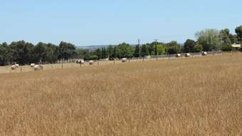 Farm Property for Sale - 65 Drapers Road Colac East VIC 3250