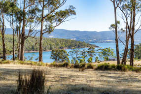 4 D'Entrecasteaux Drive North Bruny TAS 7150