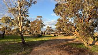 Farm Property for Sale - . Birnie Downs Bencubbin WA 6477