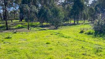 Farm Property for Sale - Cnr of Bendigo-Murchison and Jones Road Rushworth VIC 3612