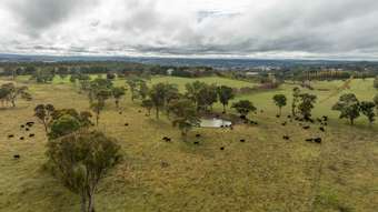 Farm Property for Sale - 261-335 Bundarra Road Armidale NSW 2350