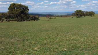Farm Property for Sale - The Rocks NSW 2795