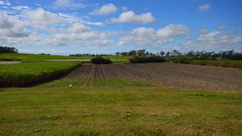 Farm Property for Sale - Lot 2 Bergmans Road Greenmount QLD 4751