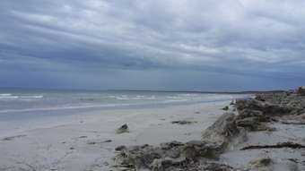 Farm Property for Sale - 178 Osmanli Road Bay Of Shoals SA 5223