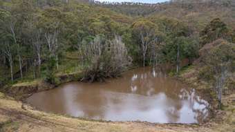 Farm Property for Sale - 262 Hendrie Road Upper Pilton QLD 4361