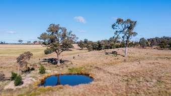 Farm Property for Sale - 2603 Windellama Road Goulburn NSW 2580