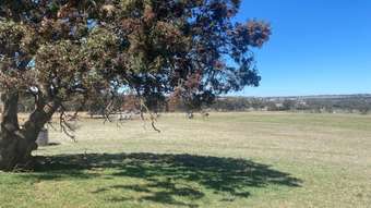 Farm Property for Sale -  Graetztown Road Keyneton SA 5353