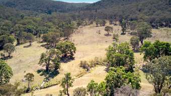 Farm Property for Sale - Lot 1, 625 Dolomite Road Rylstone NSW 2849