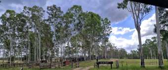 Farm Property for Sale - 264 Thompson A Road Woocoo QLD 4620