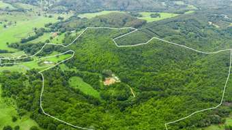 Farm Property for Sale - 21 Rosebank Road Corndale NSW 2480