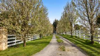 Farm Property for Sale - 605 Mardan-Dumbalk Road Mardan VIC 3953