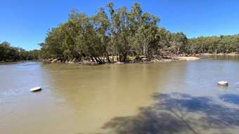 Farm Property for Sale - 9430 Murrumbidgee River Road Willbriggie NSW 2680