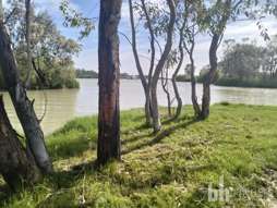 Farm Property for Sale - 4 Salisbury Road Mannum SA 5238