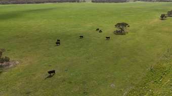 Farm Property for Sale - 2182 Parrakie South Road Parrakie SA 5301